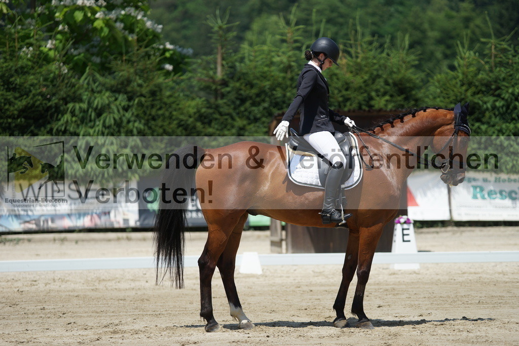 DSC04987 | equestrian-live-com