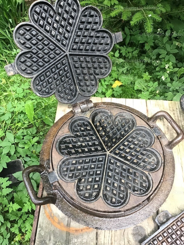 IMG_3645 | photograph1 - Realisiert mit Pictrs.com