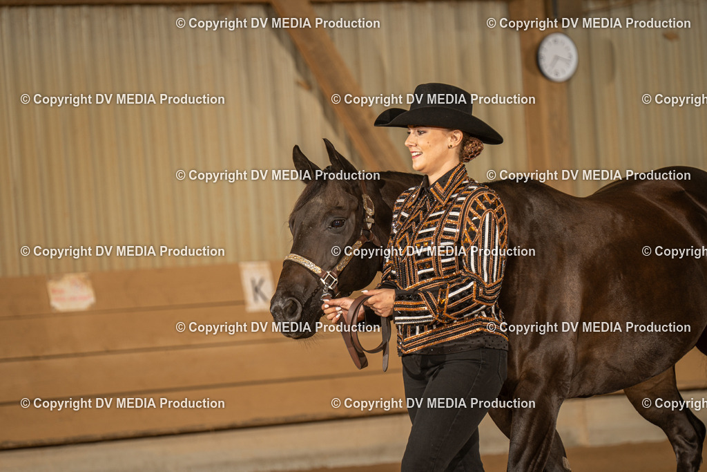 NID02387 | dv-media-shop - Realisiert mit Pictrs.com