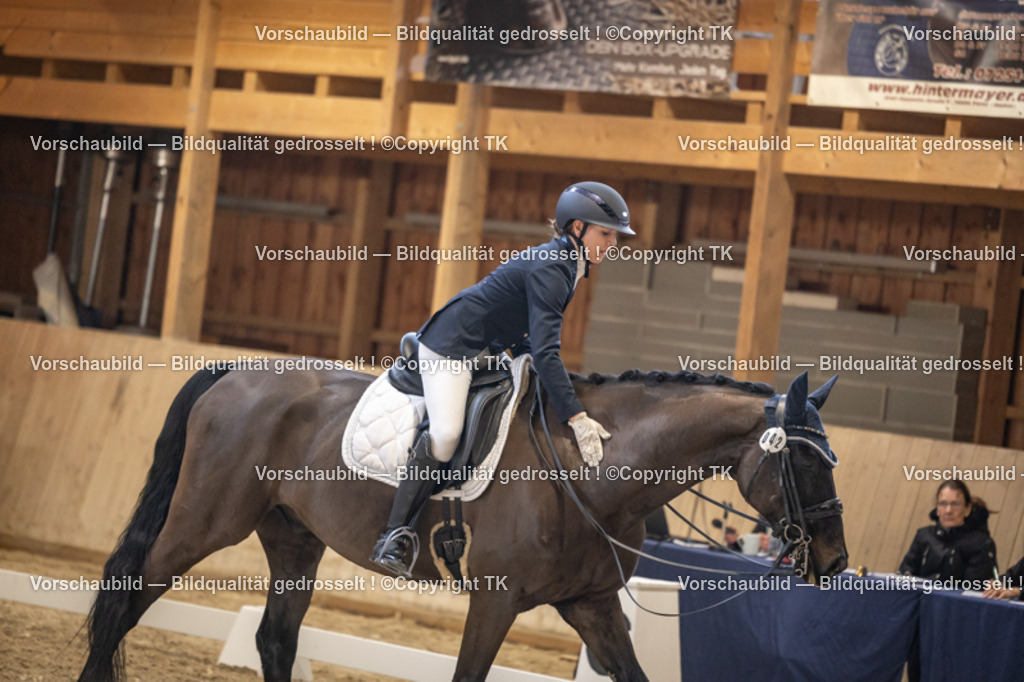 _D5A9178 | Emotionale Pferde- & People-Fotografie rund um Heidelberg, Leimen & Umgebung. Natürliche Fotos von Pferd, Mensch & Familie. Jetzt Termin sichern!