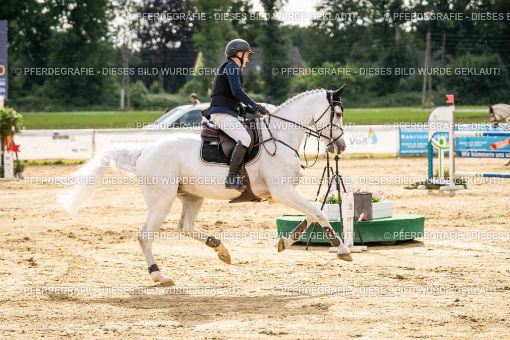 DSC06441 | Pferdegrafie