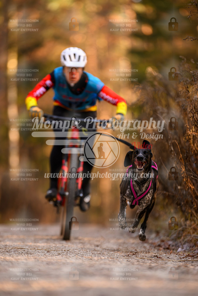 MompixPhotography_DM_AKDM_SO_2025_Bike-26 | PayLife