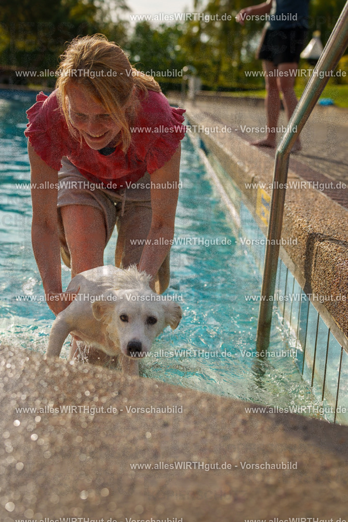 Hundeschwimmen_Grefrath_2026-allesWIRTHgut_Tierfotografie-15_37-7R509425 | Professionelle Tierfotografie in Mönchengladbach von Daniel Wirth (allesWIRTHgut). Liebevolle & natürliche Bilder von Hunden & Katzen für unvergessliche Erinnerungen.