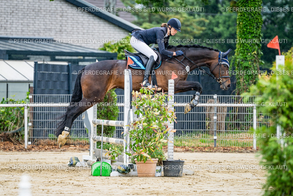 DSC02499 | Pferdegrafie