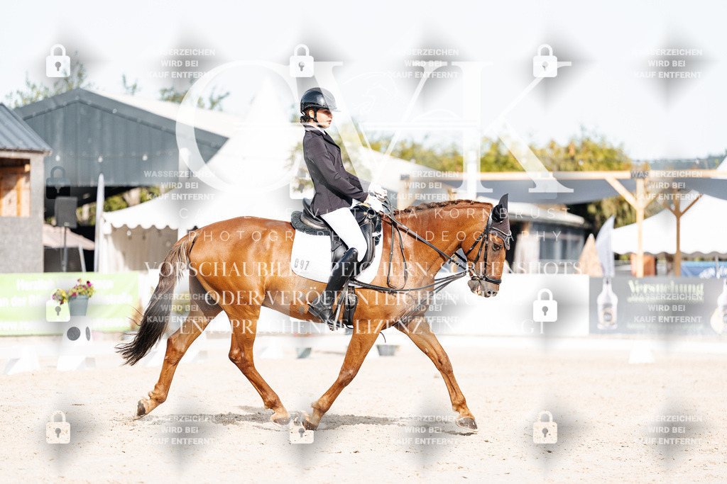 CK905143 | Turnierfotografie Pferdefotografie Trier Rheinland-Pfalz Pferdesport Reitsport Tierfotografie Sportfotografie Pferdevideo Pferdevideografie Equestrianvideography equestrianphotography  - Realisiert mit Pictrs.com