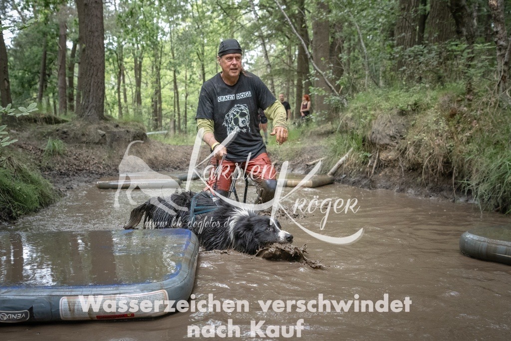 1300_ZZ91983T | kk-dogfotos