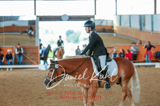 _62_7917 | Turniersportfotografie; Pferdefotografie; Dressurfotografie