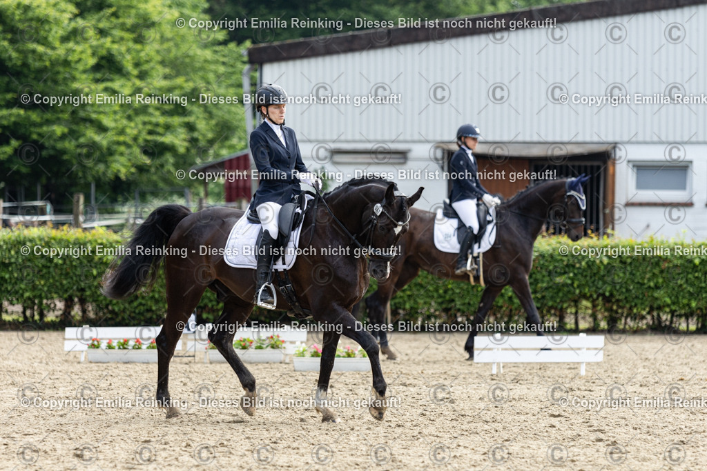 CL5A5180 | Emilia Reinking Fotografie - Realisiert mit Pictrs.com