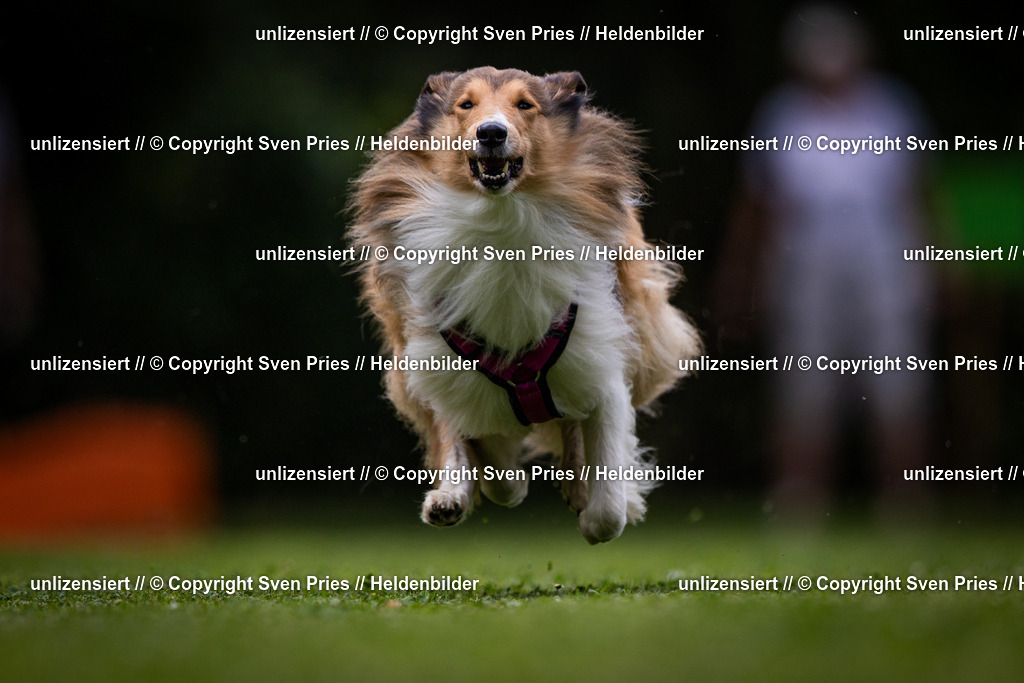 Sven Pries | 19. Allgemeines Hunderennen Karlsruhe Durlach - Realisiert mit Pictrs.com