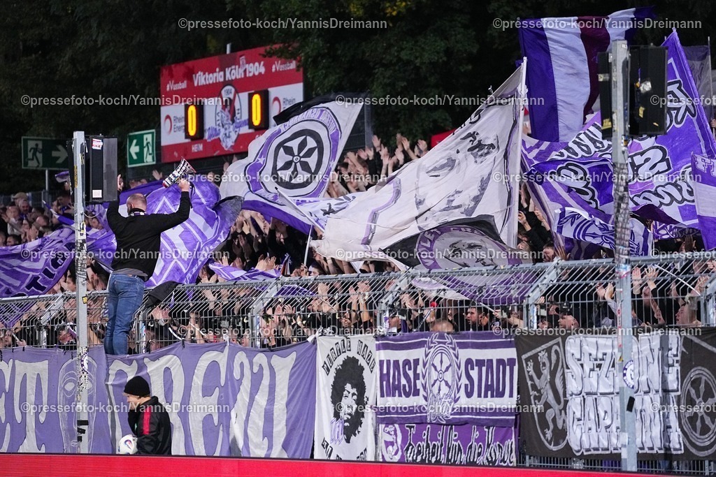 xYDR28092501169 | 28.09.2025, xydrx, Fußball, 3.Liga, Viktoria Köln - VFL Osnabrück, Saison 2025 2026, Sportpark Höhenberg: Fans vom VFL Osnabrück schwenken Fahnen   DFB regulations prohibit any use of photographs as image sequences and or quasi-video.