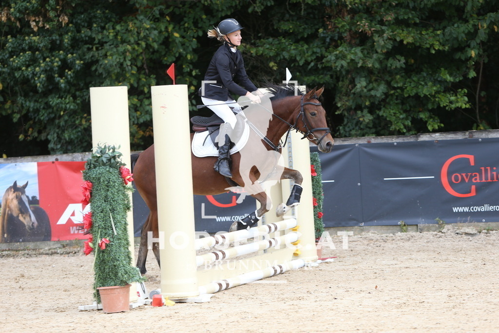 DL2Q2575 | Willkommen bei Brunnmayr - Design & Fotografie – Ihrem Spezialisten für Reitturniere und Pferdeveranstaltungen in Oberösterreich, Salzburg und Bayern! Seit über 17 Jahren sind wir leidenschaftlich dabei.