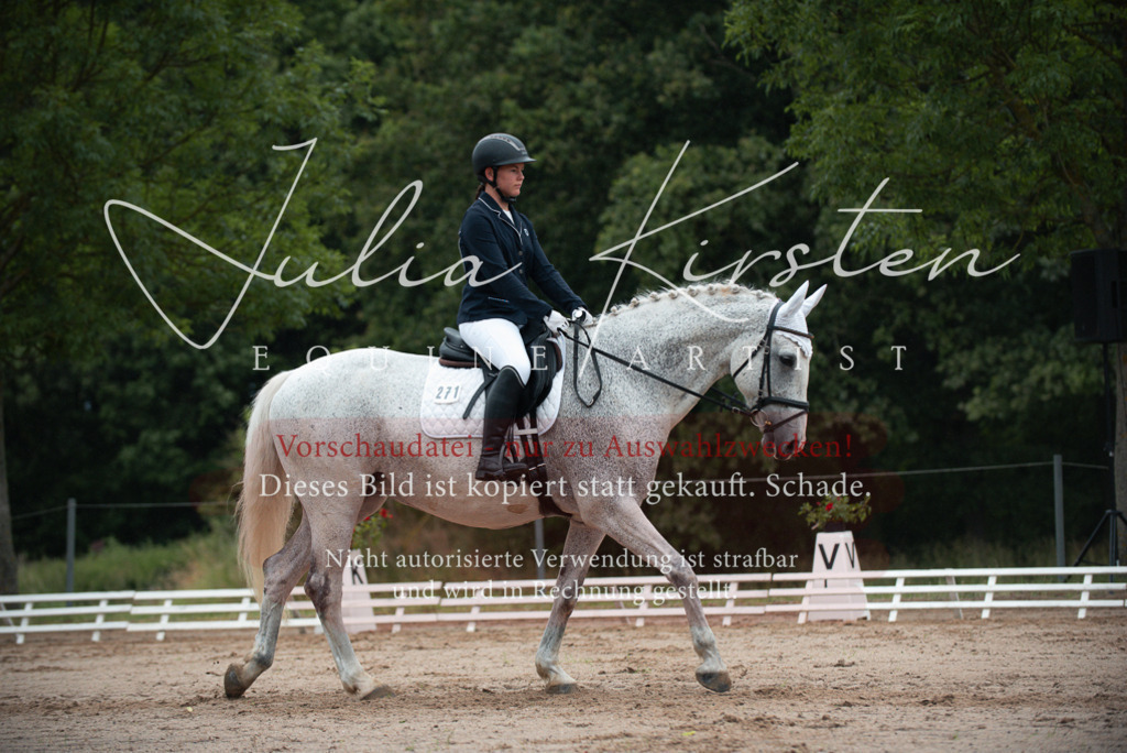 DSC_9666 | Pferde- und Turnierfotografie in Westsachsen. Pferdeportraits, Auftragszeichnungen und intuitive Kunst.