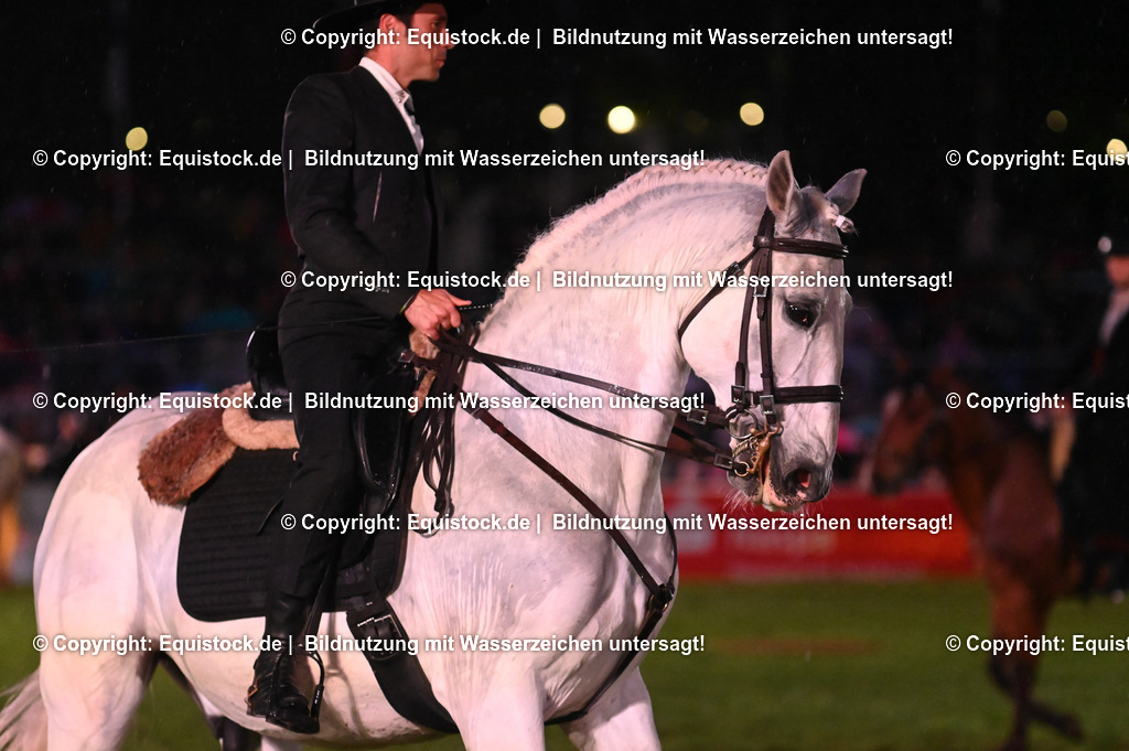 20240517_Lange-Pferdenacht_0696 | Foto: Thomas Hartig