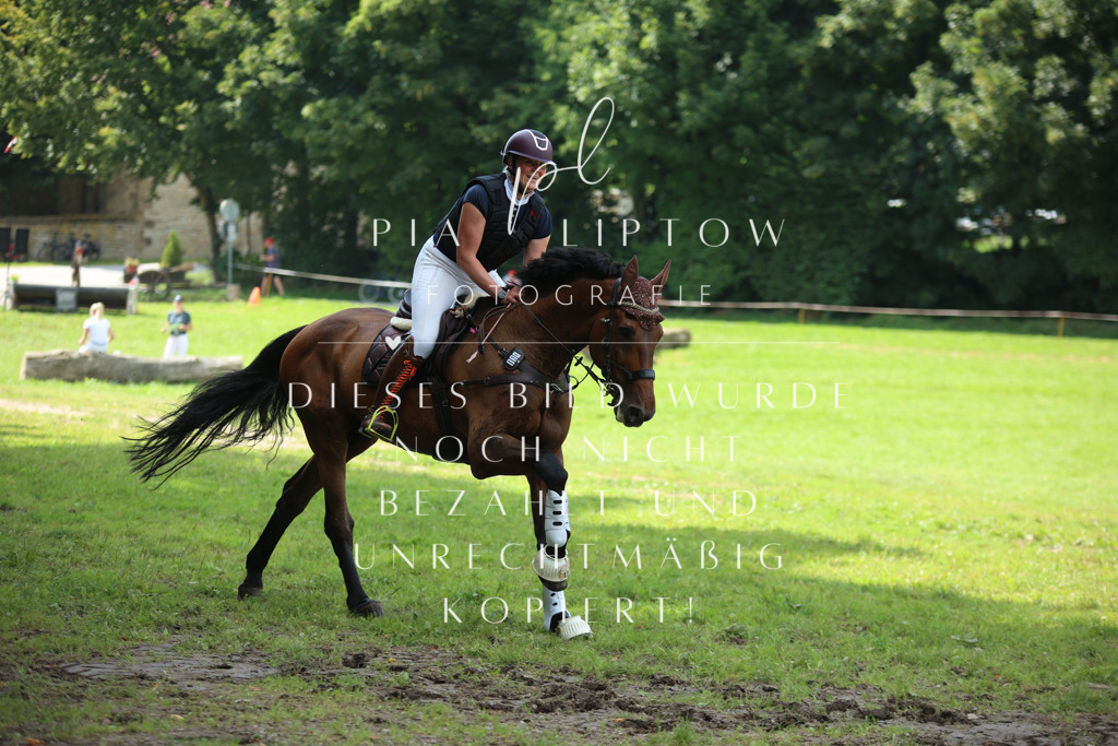 IMGM5212 | pl-fotografie