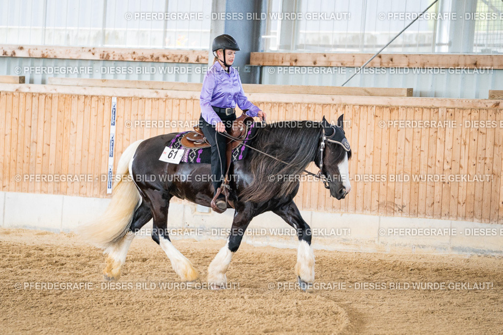 DSC03207 | Pferdegrafie