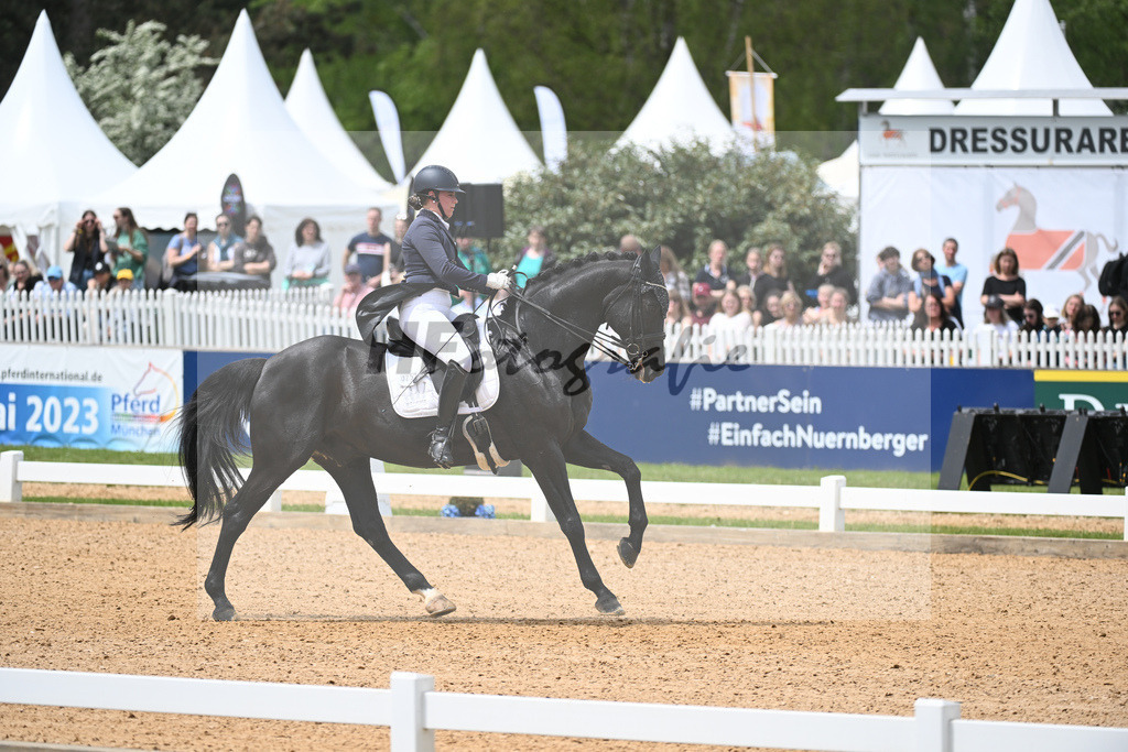 Merk_Sambuco_11233603 | hf-fotografie - Realisiert mit Pictrs.com