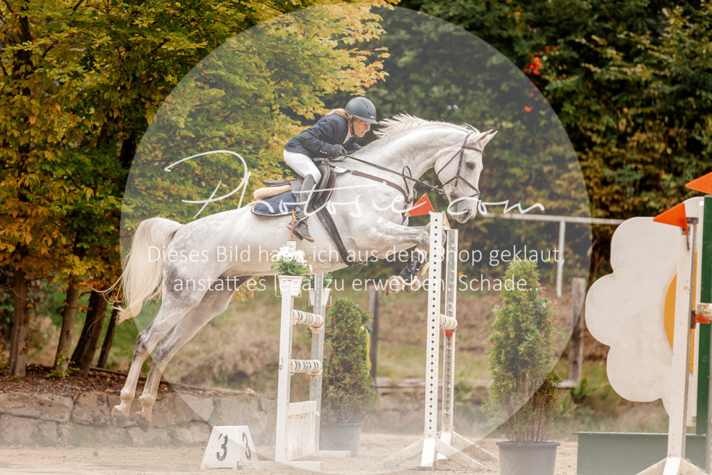 3I6A8087 | Stimmungsvolle Portraits und Reitsportfotografie im Ruhrgebiet und im Münsterland.

Pferdefotografie, Hundefotografie, Tierfotografie, Reportagen, Portraits von Tier und Mensch, Turnierfotografie in Bochum, Recklinghausen, Marl, Haltern am See, Dülmen.. - Realisiert mit Pictrs.com