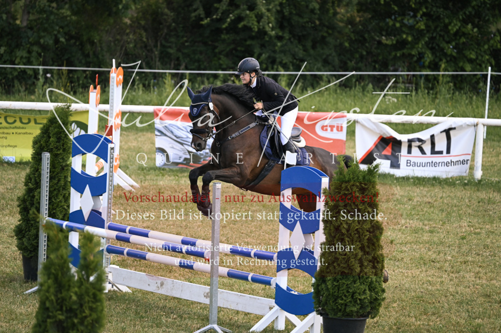 DSC_9903 | Pferde- und Turnierfotografie in Westsachsen. Pferdeportraits, Auftragszeichnungen und intuitive Kunst.