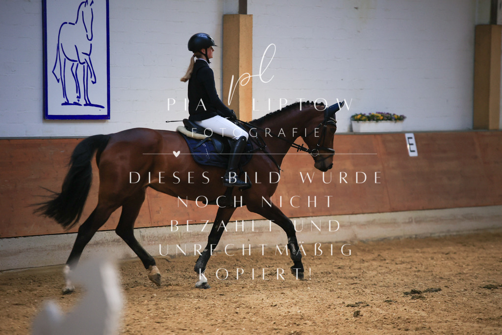 IMGT1632 | pl-fotografie