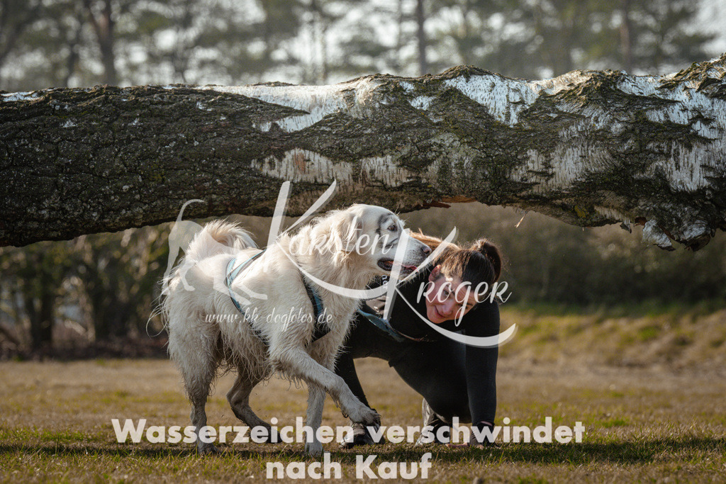 0948_ZZ90108 | kk-dogfotos