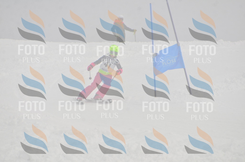 A5313 | holidayphoto