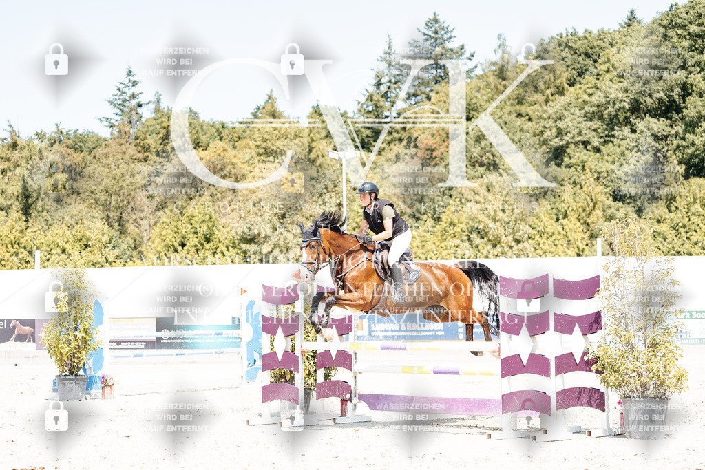 CK900904 | Turnierfotografie Pferdefotografie Trier Rheinland-Pfalz Pferdesport Reitsport Tierfotografie Sportfotografie Pferdevideo Pferdevideografie Equestrianvideography equestrianphotography  - Realisiert mit Pictrs.com
