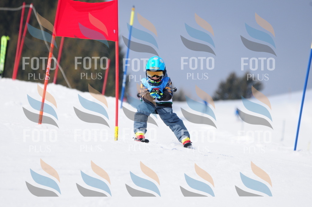 A3577 | holidayphoto