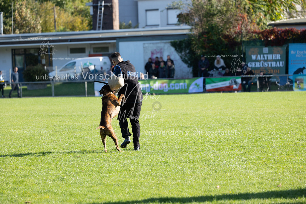 _16A5009 | Einzigartige Fotos von Hunden & Menschen –Actionfotos, Portraits, Vereinsaufnahmen & Paarshootings – authentisch, lebendig & mit Herz.