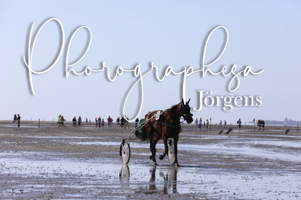 IMG_0376 | photographesa-joergens - Realisiert mit Pictrs.com