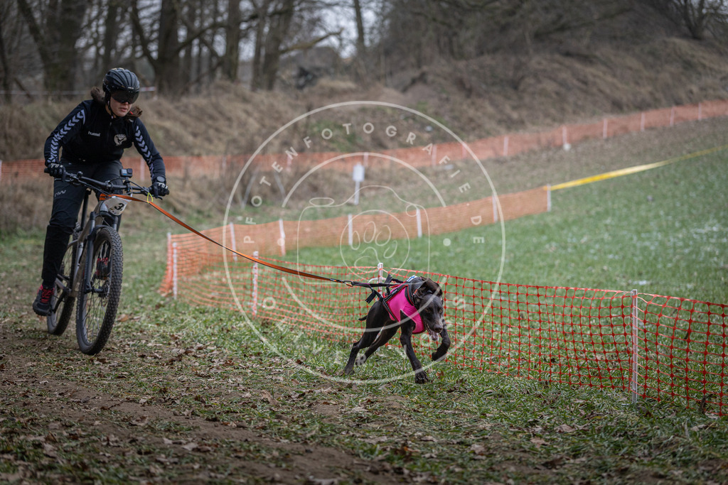 Pfotenfotografie_DV3A9613 | Hundefotografie, Tierfotograf, Pfotenfotografie, Fotoshooting Hund, Hunde Portrait, Hundesport, Hundeportraits, Heideshooting, Hunde, Sportfotograf, Hundefotograf, Turnierhundsport, THS,  - Realisiert mit Pictrs.com
