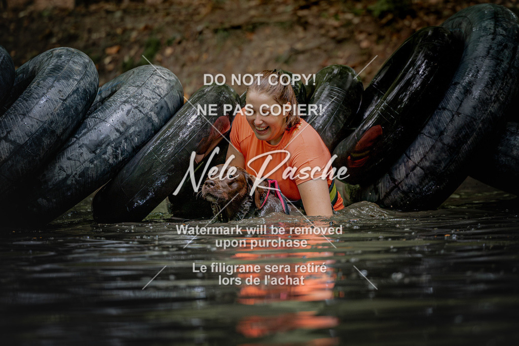 nelerasche_SaWingst1200-1230_03 | nelerasche