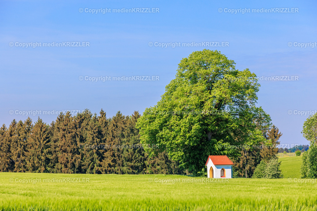 _J3A7836 | medienkrizzler - Realisiert mit Pictrs.com