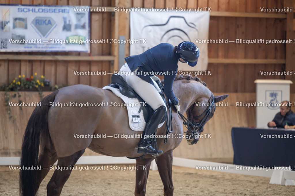 _D5A4892 | Emotionale Pferde- & People-Fotografie rund um Heidelberg, Leimen & Umgebung. Natürliche Fotos von Pferd, Mensch & Familie. Jetzt Termin sichern!