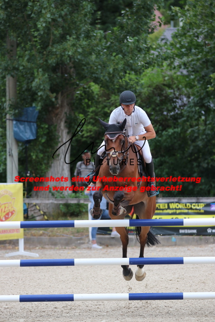 IMG_7920 | lmwpictures - Realisiert mit Pictrs.com