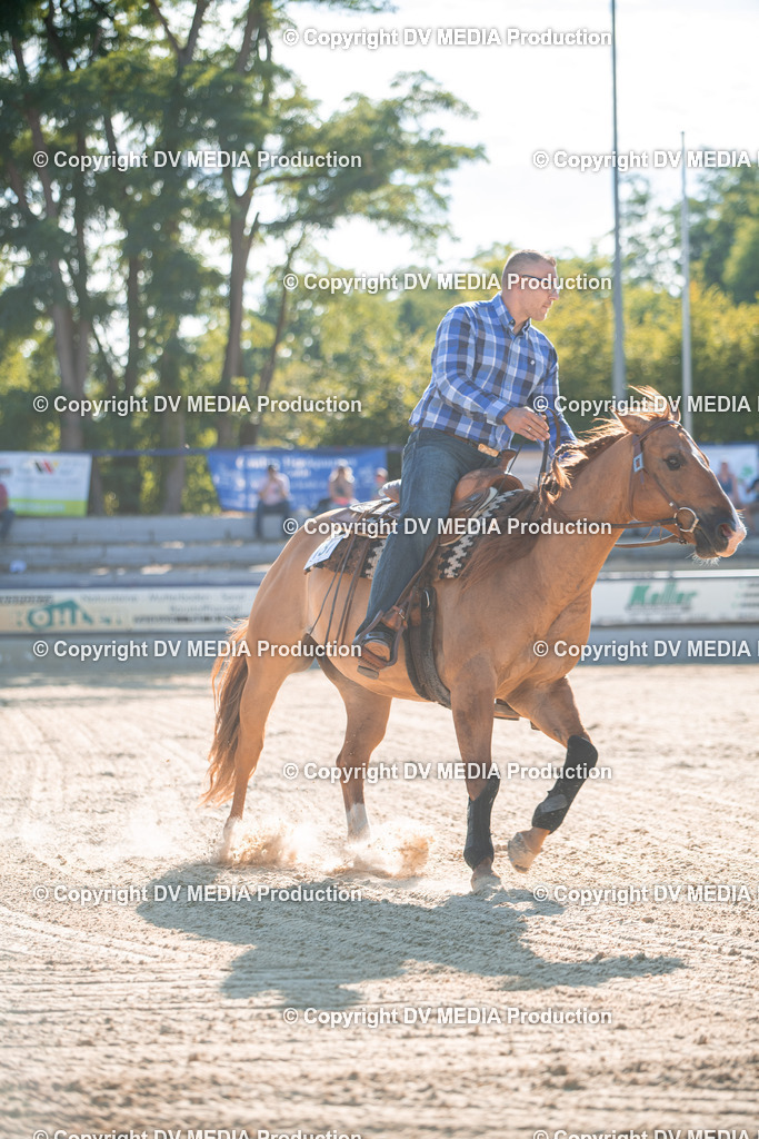 EWP_7041 | dv-media-shop - Realisiert mit Pictrs.com