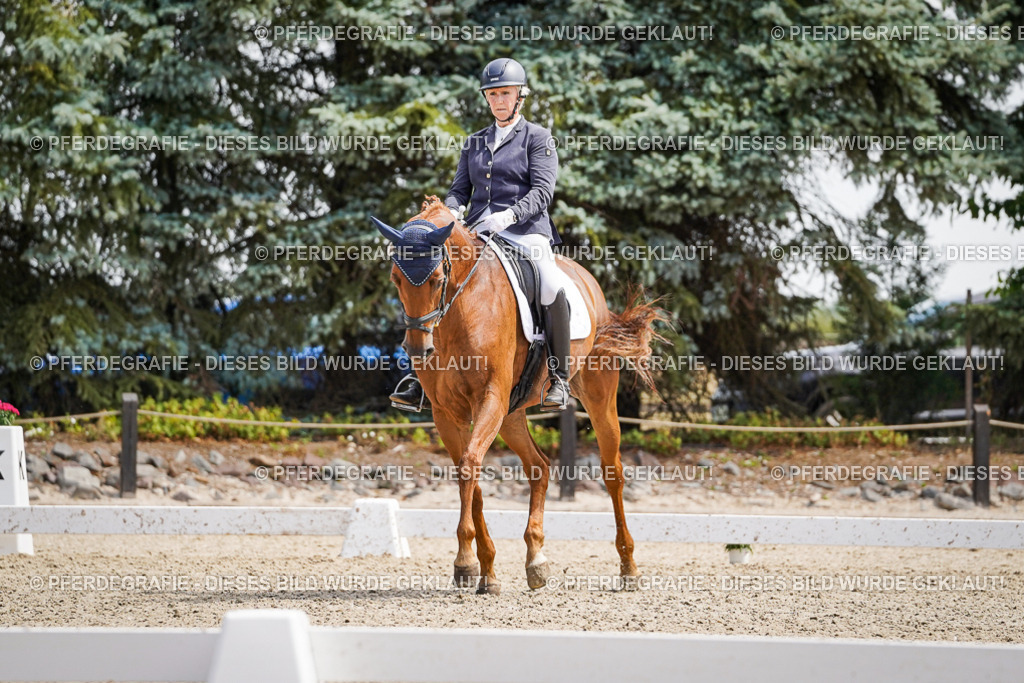 DSC00462 | Pferdegrafie