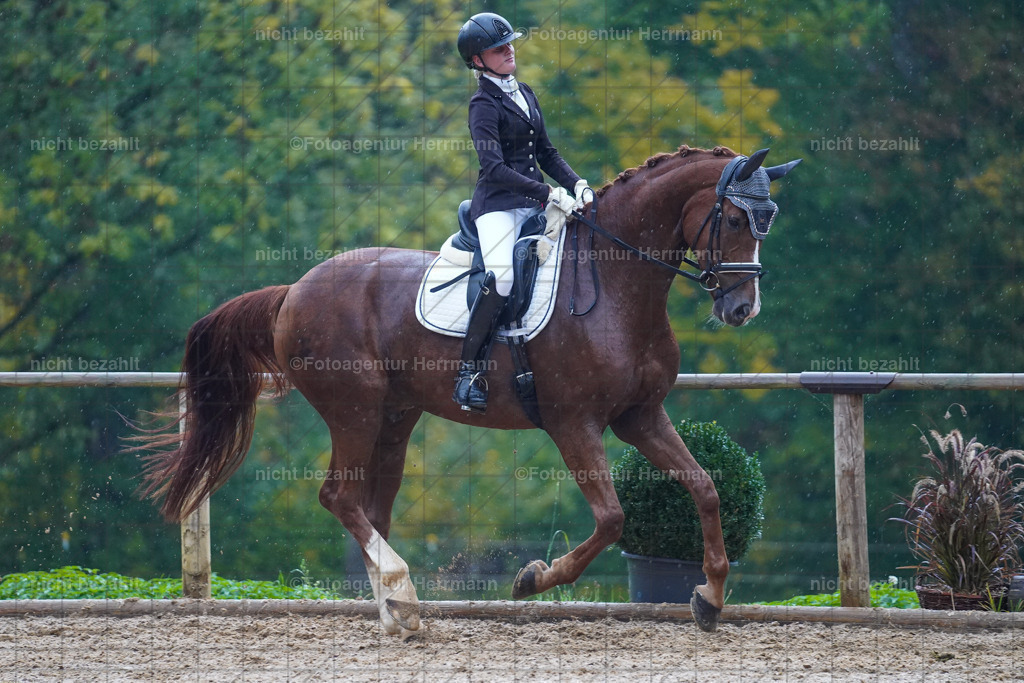 20221008-FAH02215 | Diessen am Ammersee, 2022, Dressur- und Springturnier, Reitsportbilder, Turnierfotografen Bayern, Pferdefotografen, Fotoagentur Herrmann, Turnierbilder