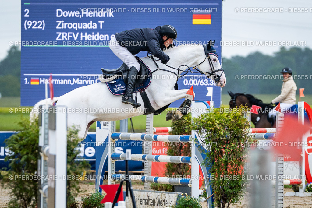 DSC03445 | Pferdegrafie