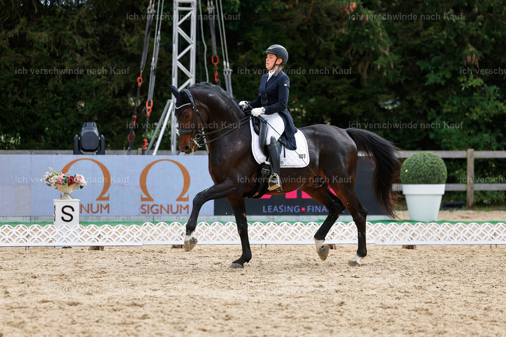 11-007-Dressur S___-StoibPH-1105 | working equitationturnier fotograf videograf stoibphotography marixx film working equitation deutschland reitsport turnierfotografie eventfotografie equestrian events