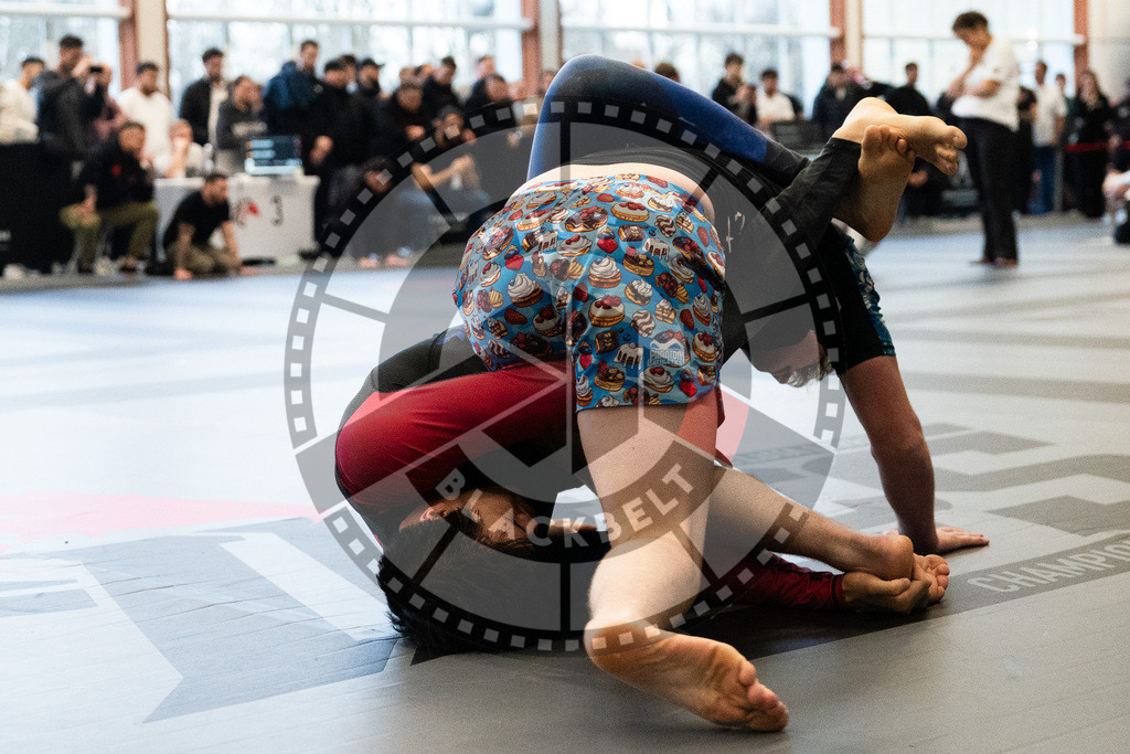 20251129PBB8245 | Fighters compete during the luta livre competition ILLCS XI winter edition on November 29, 2025 in Hannover, Germany.