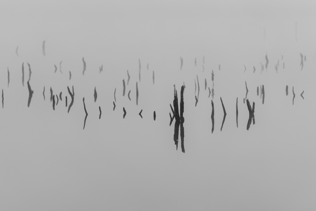 2024_10_04_HIMMELMOOR-NEBEL_MCP7331 sw | Hochwertig gedruckte Fotografien für die Wand, als Kalender und zum Verschenken. Hamburg & Norddeutschland und überall wo ich mit der Kamera unterwegs war.