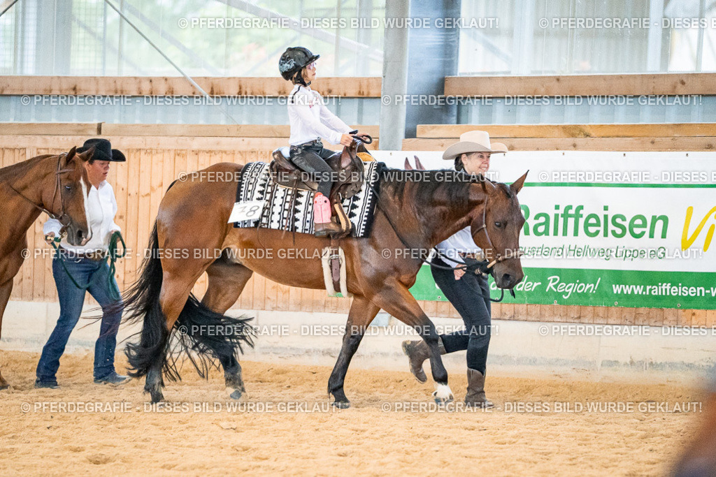 DSC00919 | Pferdegrafie