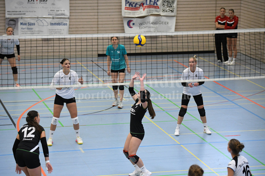 TSV Deggendorf Damen : Wilde Wespen Steinach | TSV Deggendorf Damen : Wilde Wespen Steinach - Realisiert mit Pictrs.com