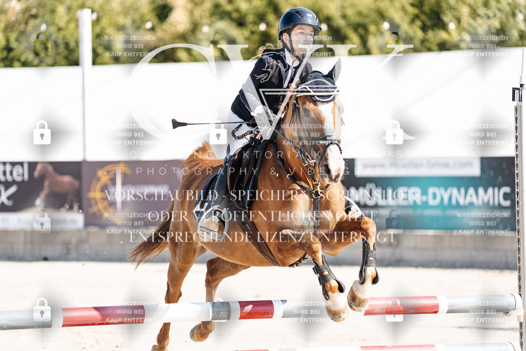 CK905174 | Turnierfotografie Pferdefotografie Trier Rheinland-Pfalz Pferdesport Reitsport Tierfotografie Sportfotografie Pferdevideo Pferdevideografie Equestrianvideography equestrianphotography  - Realisiert mit Pictrs.com