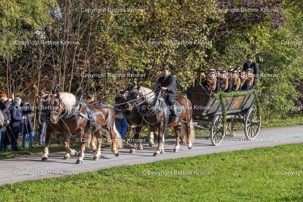 LBT24-319 | foto-bettina-krinner - Realisiert mit Pictrs.com