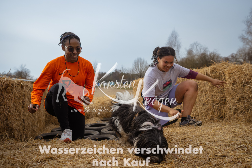 1145_ZZ95499 | kk-dogfotos