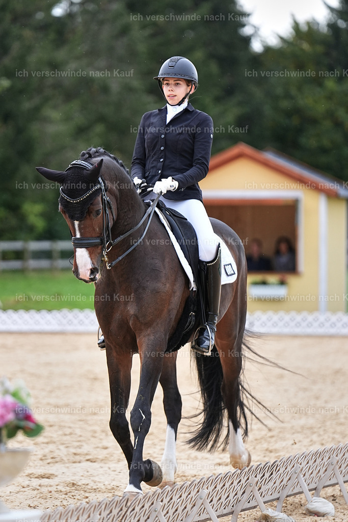 3-224-Dressur M_-Marixx-2019 | working equitationturnier fotograf videograf stoibphotography marixx film working equitation deutschland reitsport turnierfotografie eventfotografie equestrian events