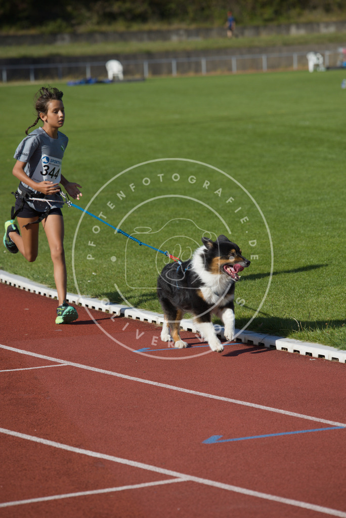 0L8A9095 | Hundefotografie, Tierfotograf, Pfotenfotografie, Fotoshooting Hund, Hunde Portrait, Hundesport, Hundeportraits, Heideshooting, Hunde, Sportfotograf, Hundefotograf, Turnierhundsport, THS,  - Realisiert mit Pictrs.com
