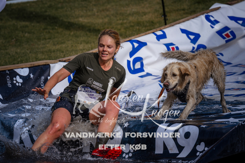 _ZZ979350750 | kk-dogfotos