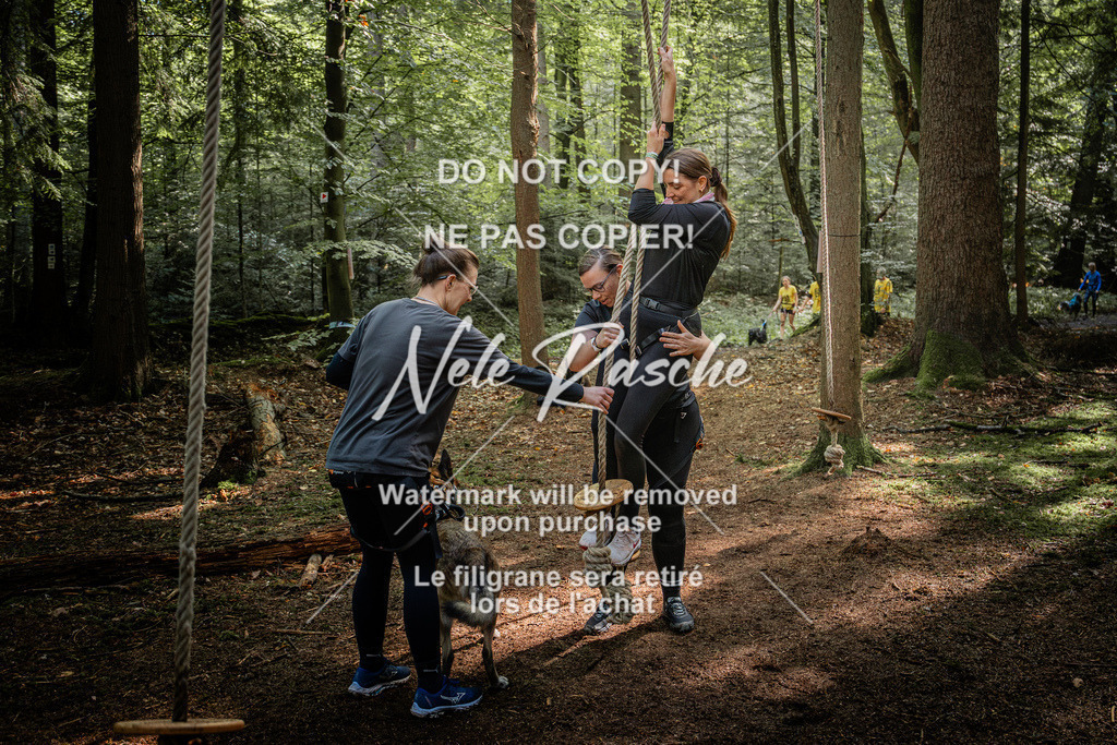 nelerasche_SoWingst1130-1230_77 | nelerasche